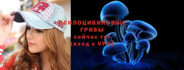 PSILOCYBIN Алексеевка